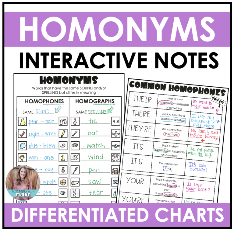 Homophones and Homonyms Chart and Grammar Notes Made By Teachers