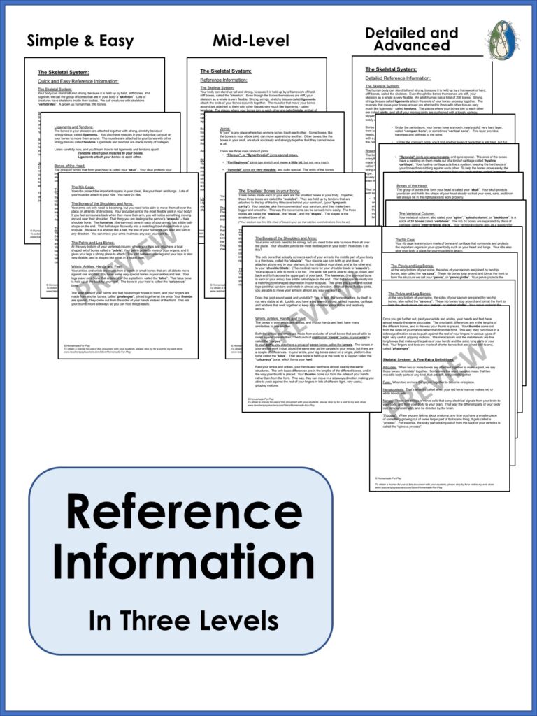 Skeletal System Diagrams to Label and Color, with Reference Information ...