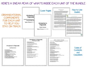 Algebra 1 Guided Notes, Presentation, and Interactive Notebook Bundle ...