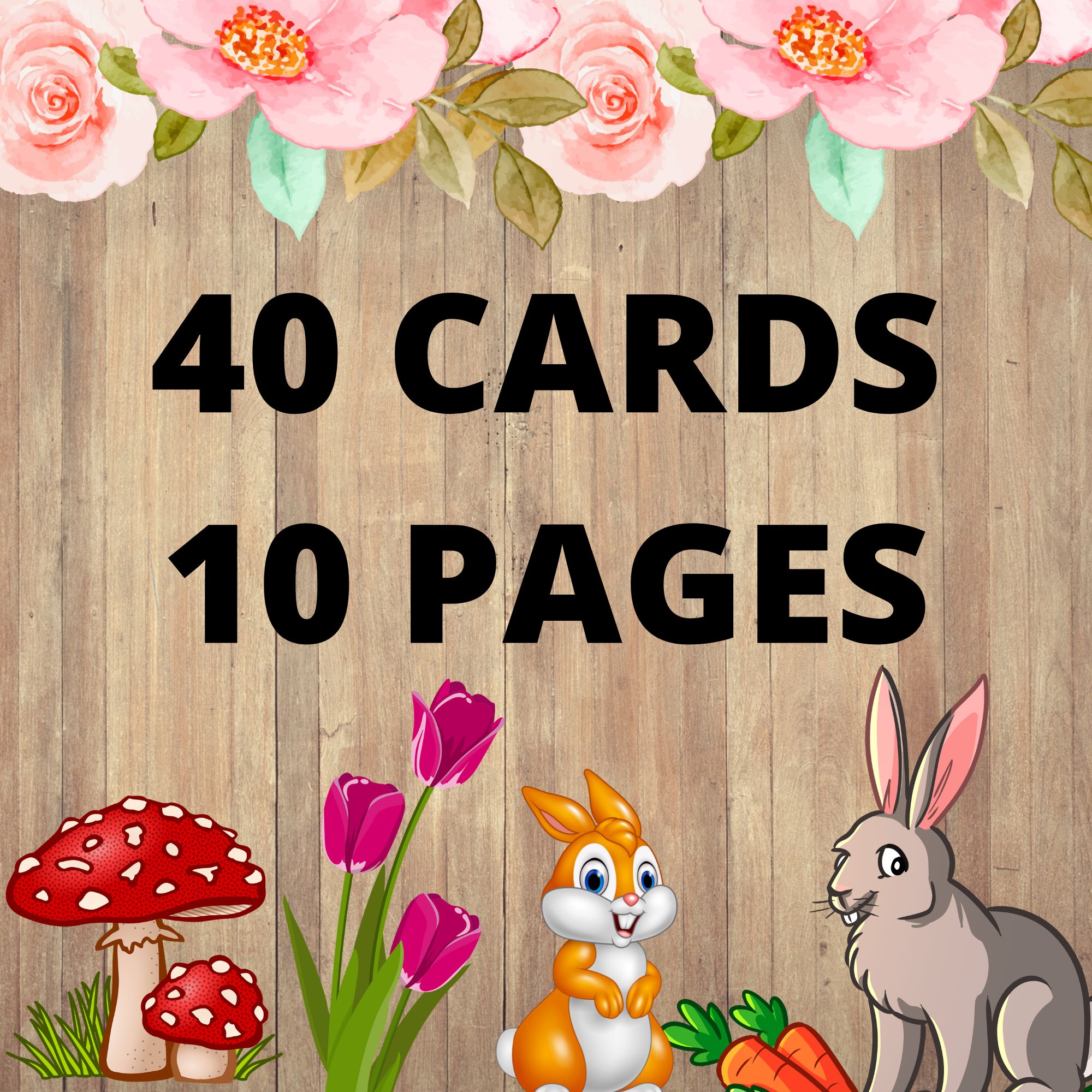 Spring Flashcards - Picture Vocabulary Cards - Spring Vocabulary Words