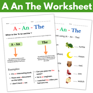 use of a an the articles activities worksheet - grammar a an the ...
