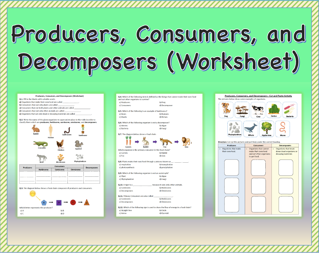 Producers, Consumers, and Decomposers - Worksheet | Printable, Distance  Learning | Made By Teachers