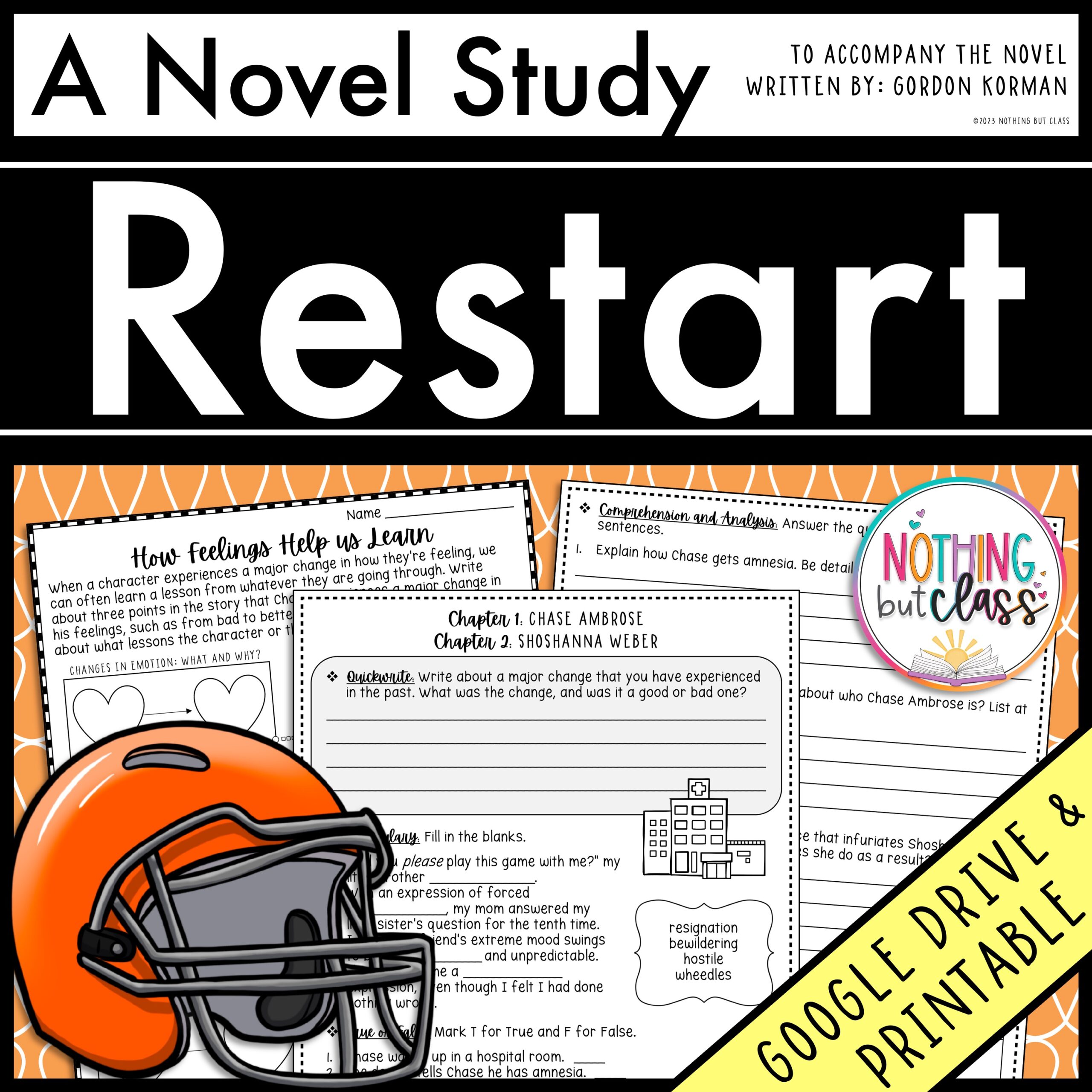 Hoot Novel Study Unit | Comprehension and Vocabulary with Activities ...