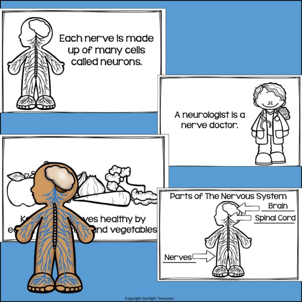 Human Body Systems: Nervous System Mini Book for Early Readers - Made ...