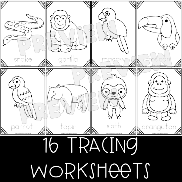Jungle Animals Tracing Worksheets Fine Motor Activity Jungle Tracing