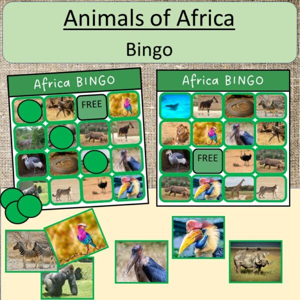 Continent of Africa Animals Activities Montessori Preschool - Made By ...