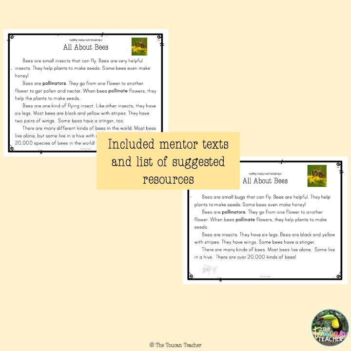 All About Bees mini unit and book | Made By Teachers