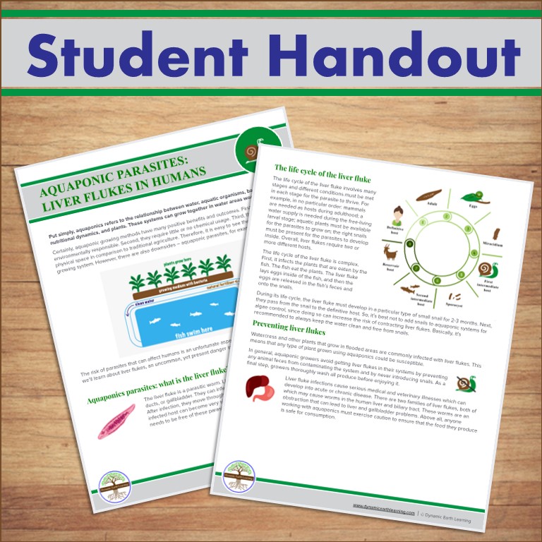 Aquaponic parasites video handout and worksheets made by teachers