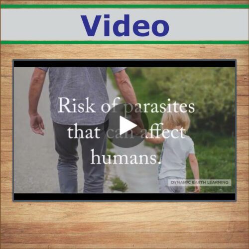 Aquaponic parasites video handout and worksheets made by teachers