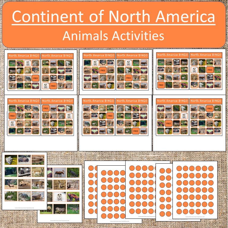 Continent of North America Animal activities - Made By Teachers