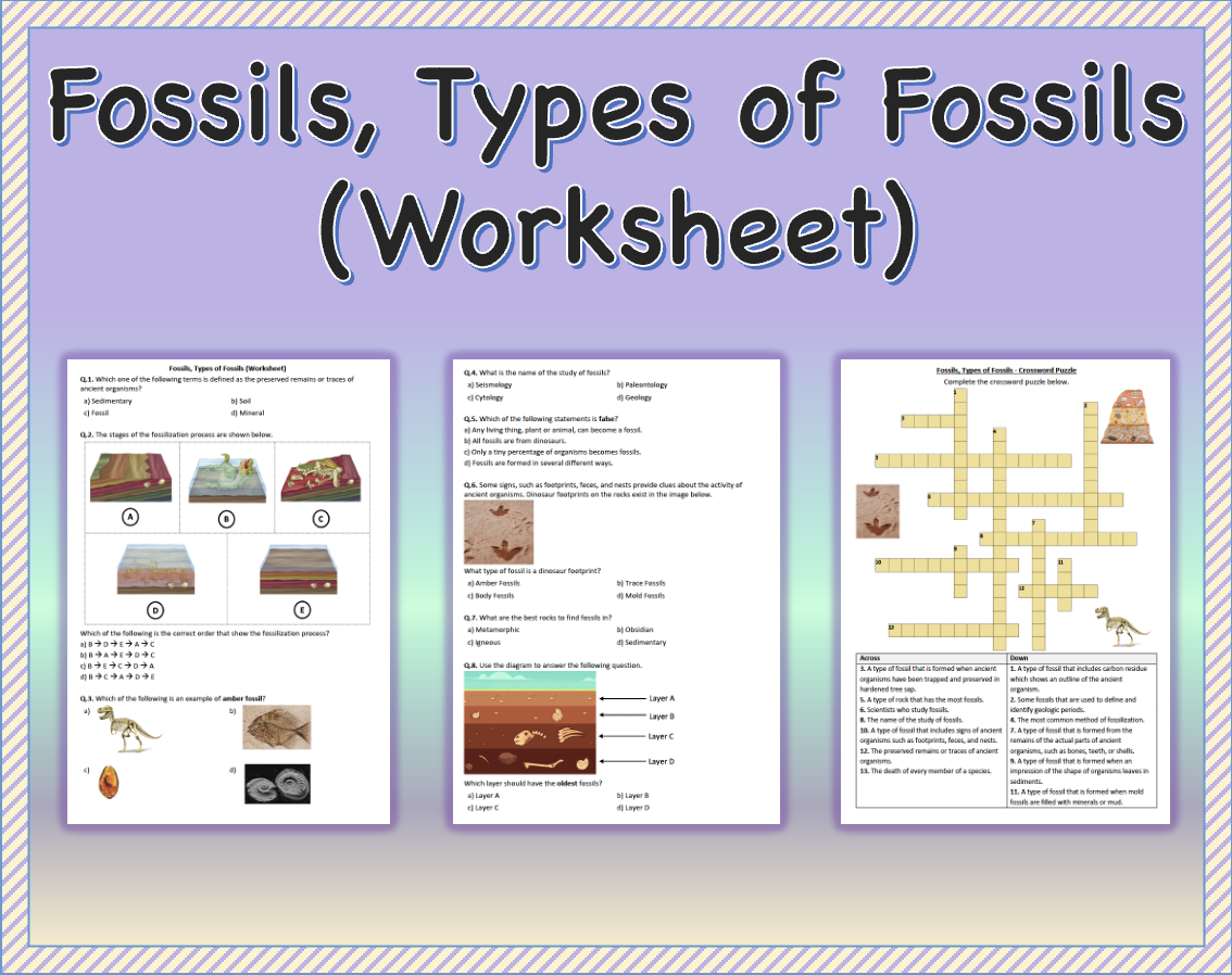 Fossils Types Of Fossils Worksheet Printable And Distance Learning 