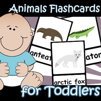 Animals Flash Cards for Toddlers | Made By Teachers