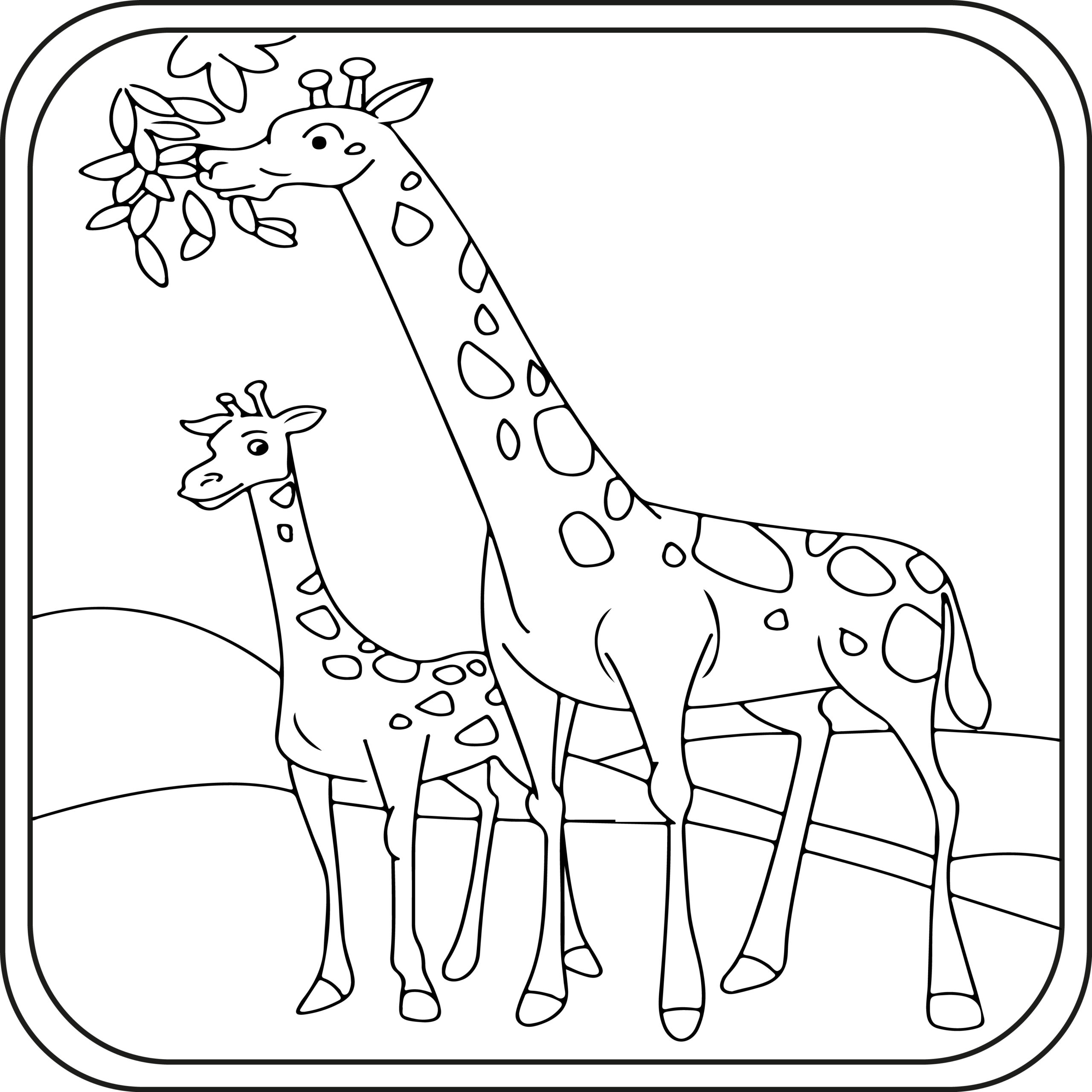 Giraffe Coloring Pages Preschool | Kindergarten | First Grade | Made By Teachers