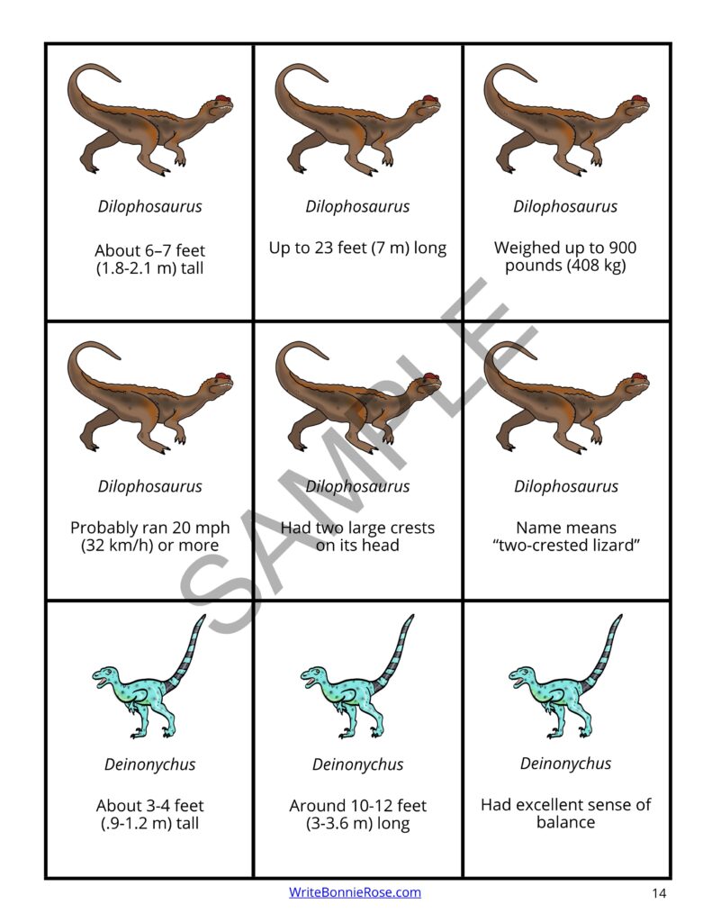 Types of Dinosaurs Card Game Made By Teachers