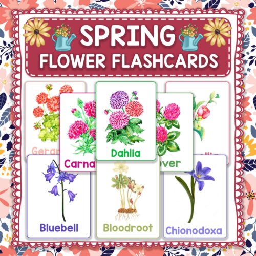 Printable Spring Flower Identification Flashcards for Kids Spring Activities Made By Teachers