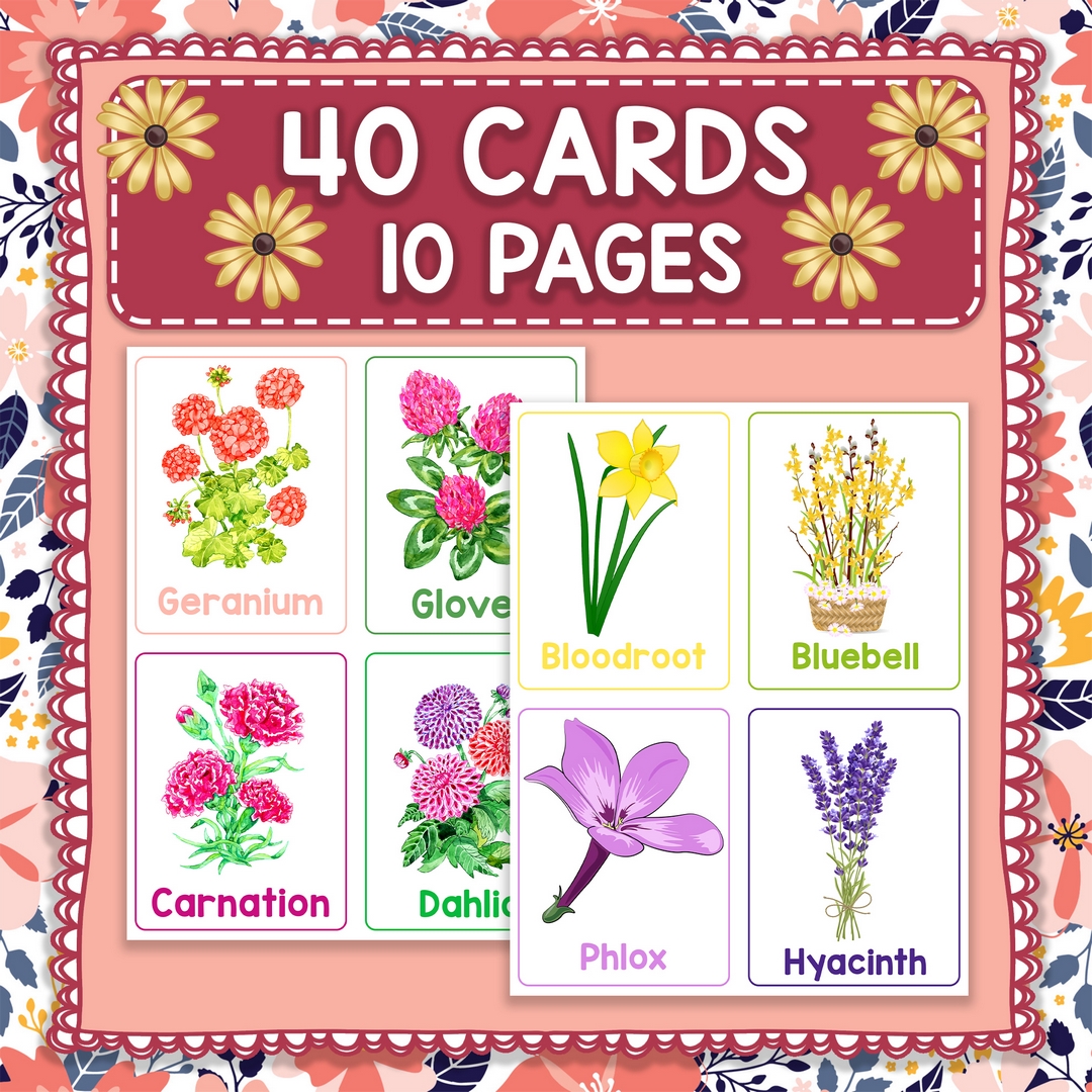 Printable Spring Flower Identification Flashcards for Kids Spring