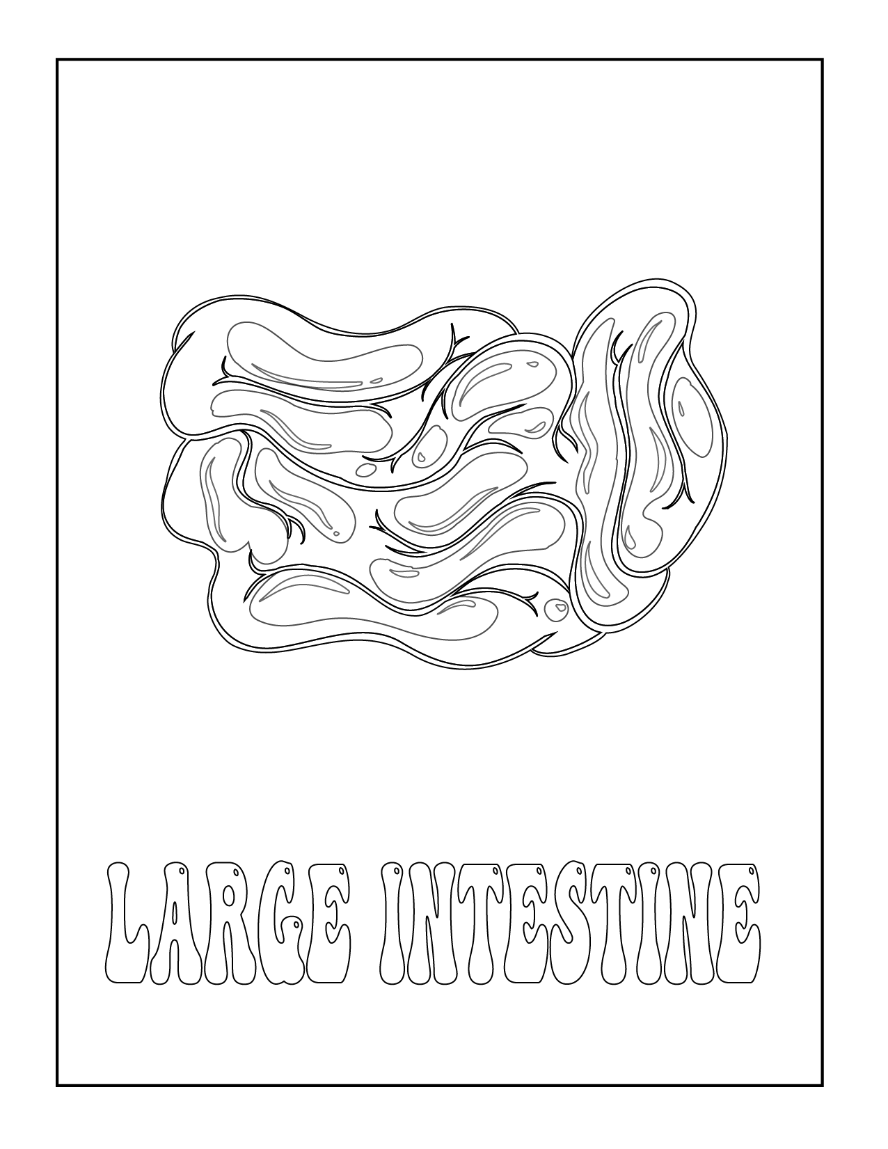 Master The Human Body Ace Your Anatomy With These Flashcards For