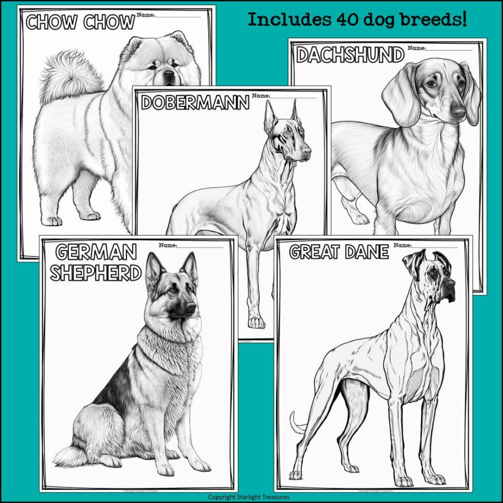 Dog Breeds Research Posters, Coloring Pages - Animal Research Project ...