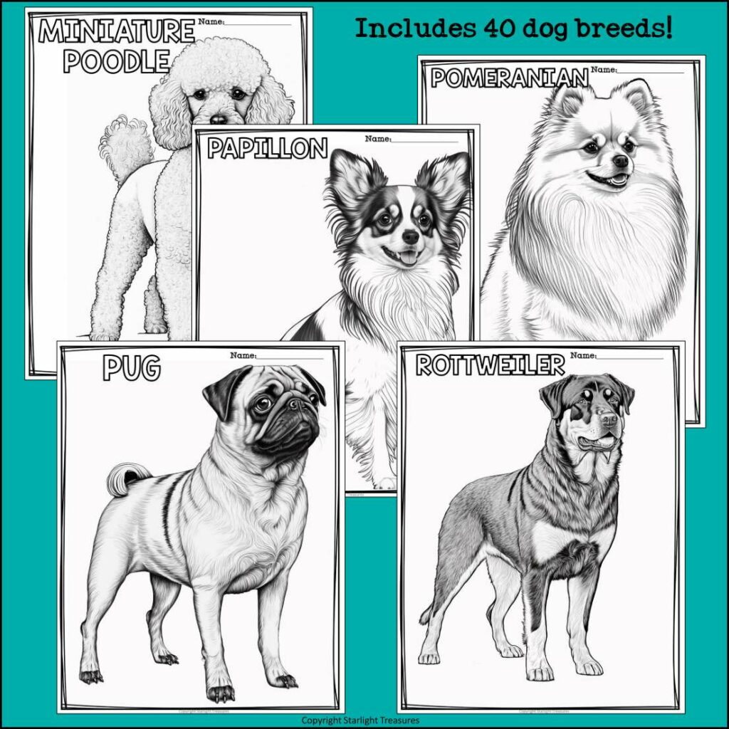 Dog Breeds Research Posters, Coloring Pages - Animal Research Project ...