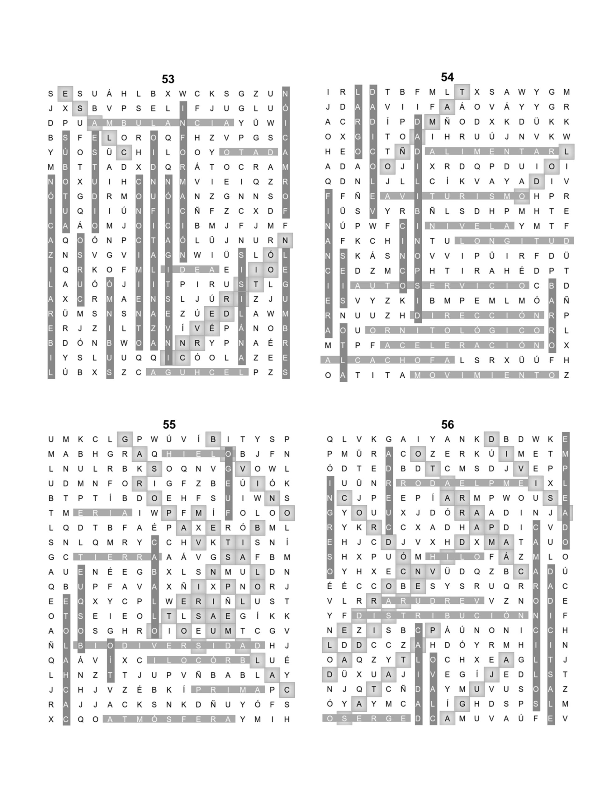 Challenging Spanish Word Search Workbook with Solutions | Made By Teachers