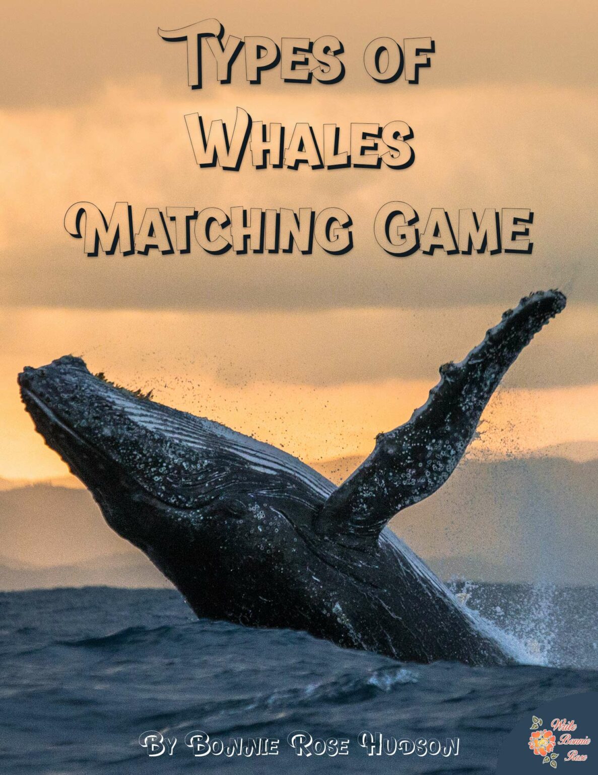 Types of Whales Matching Game Made By Teachers