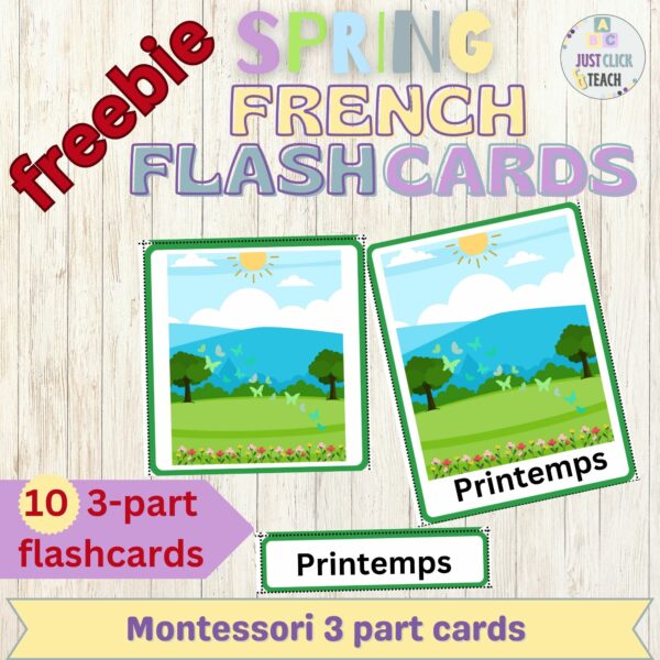 FREE Spring French Vocabulary Flashcards, Montessori 3Part cardsESL