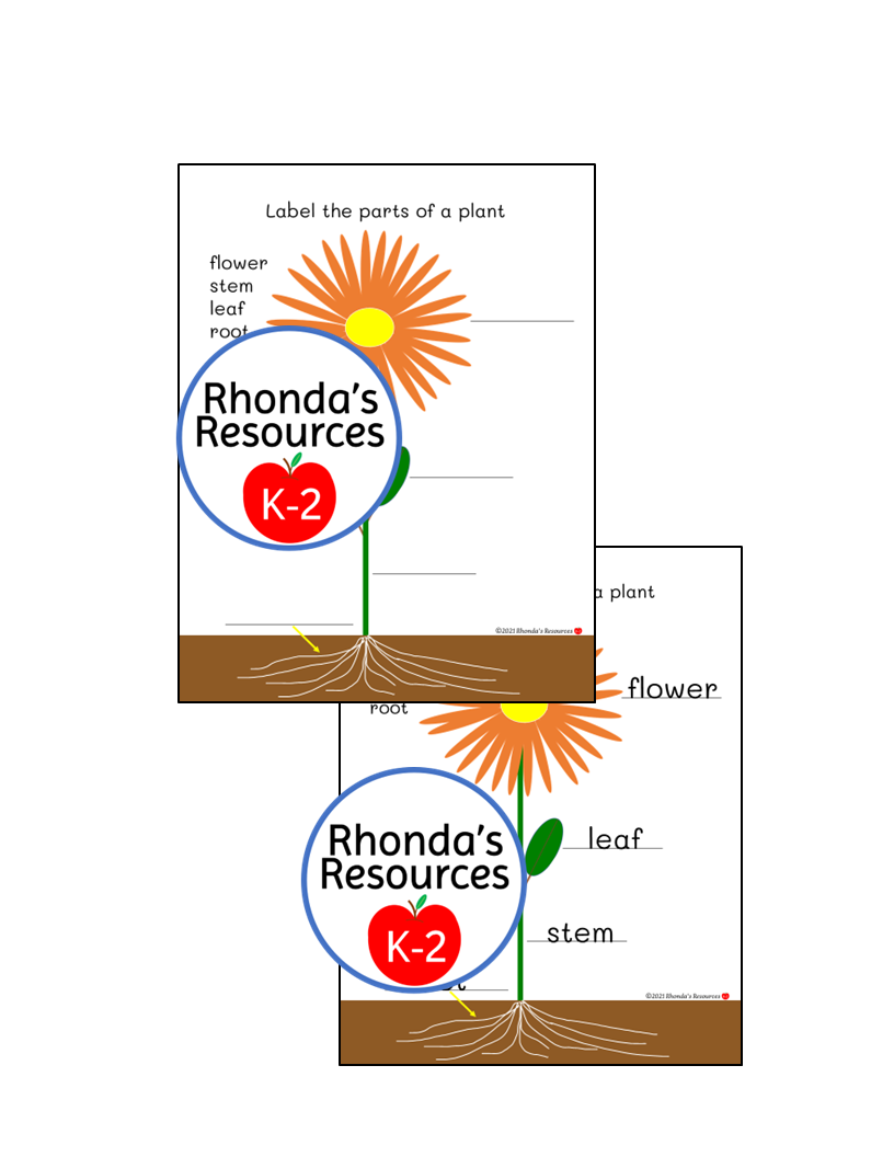 Label Parts of a Plant Posters Worksheets Activities | Made By Teachers