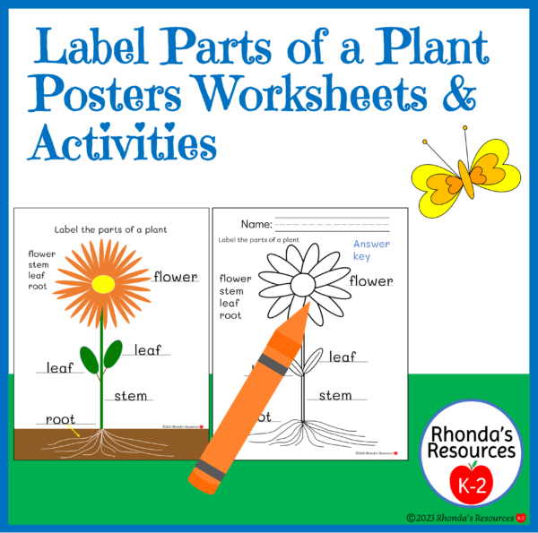 Label Parts of a Plant Posters Worksheets Activities | Made By Teachers