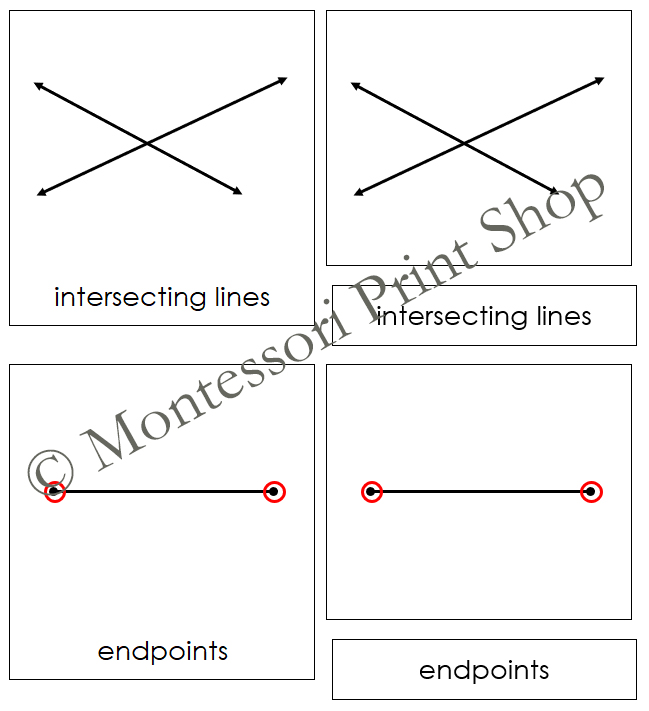 The Study of Lines 3Part Cards Montessori Elementary Geometry Made