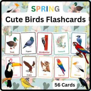 Spring Activities | Printable Cute And Funny Birds Identification Flashcards