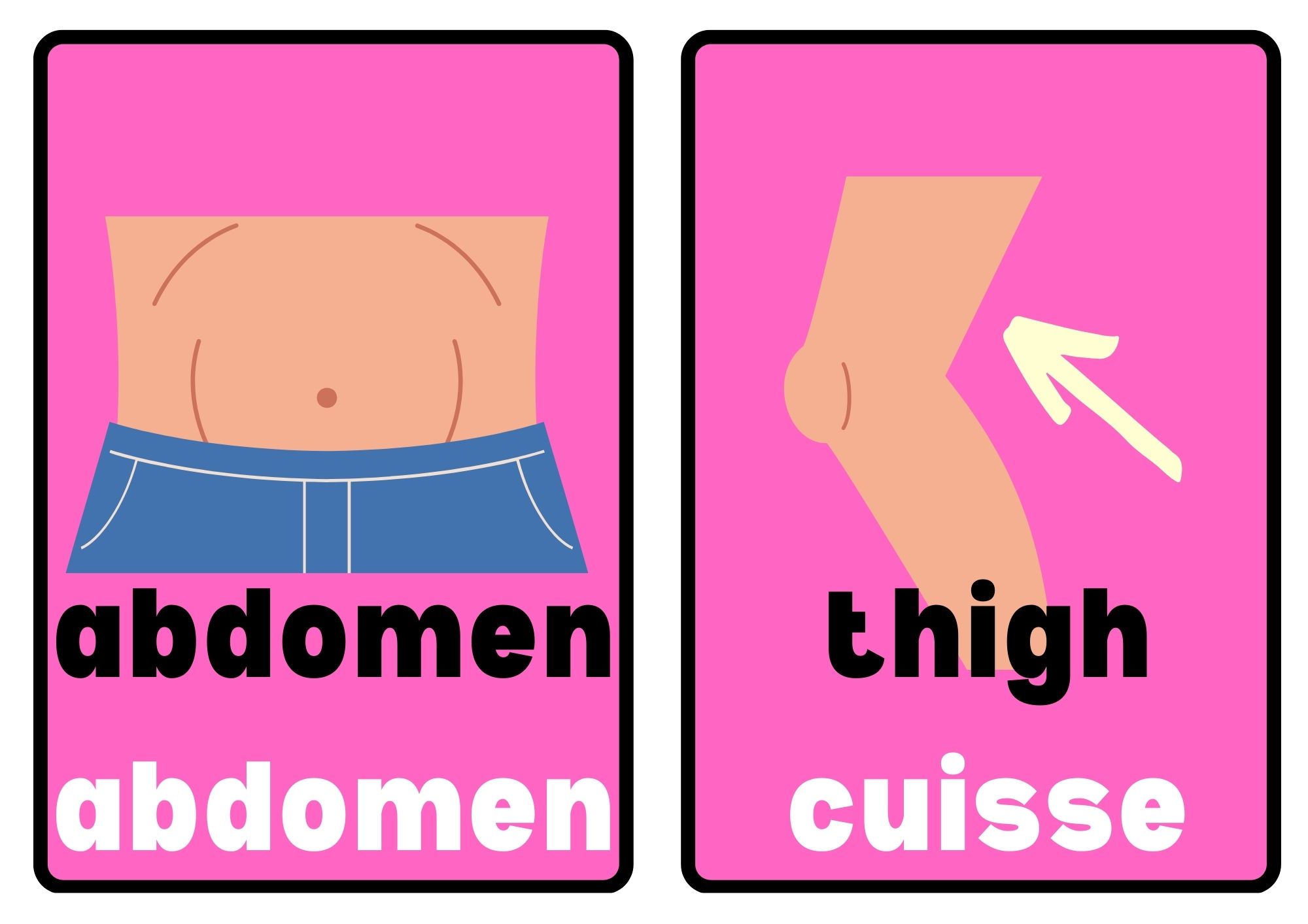 Bilingual Body Parts Flashcards Learn English and French the Fun Way