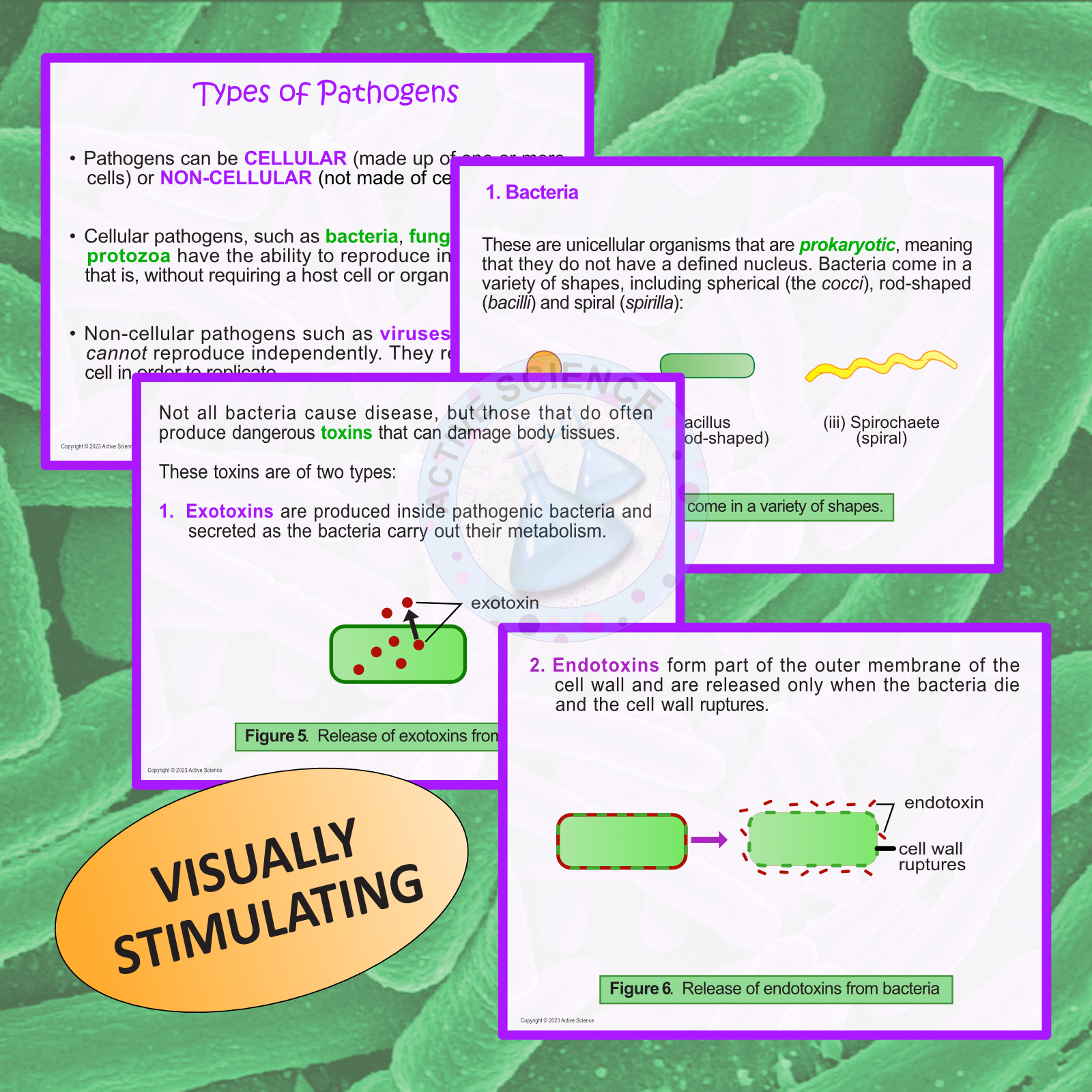 Pathogens and Antigens (PDF Presentation) Made By Teachers