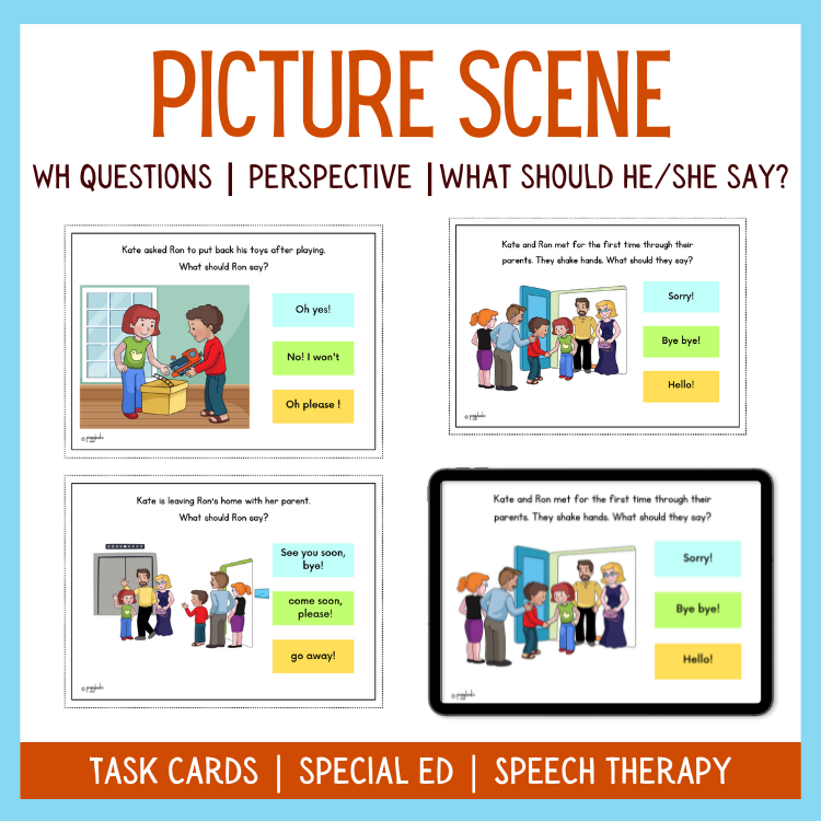 Picture scene Wh questions Perspective