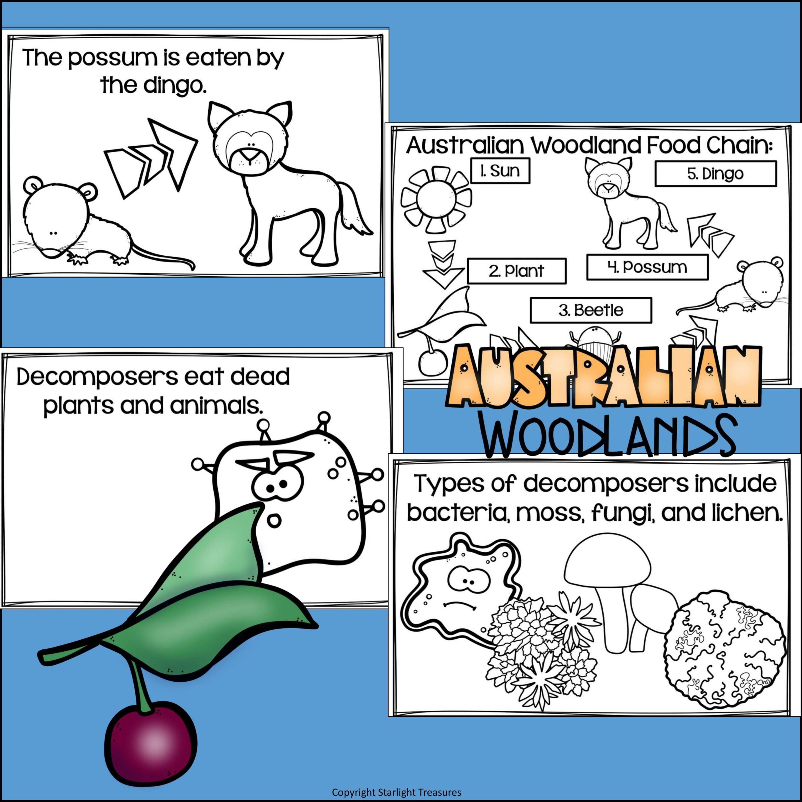 Australian Woodlands Food Chain Mini Book for Early Readers Food