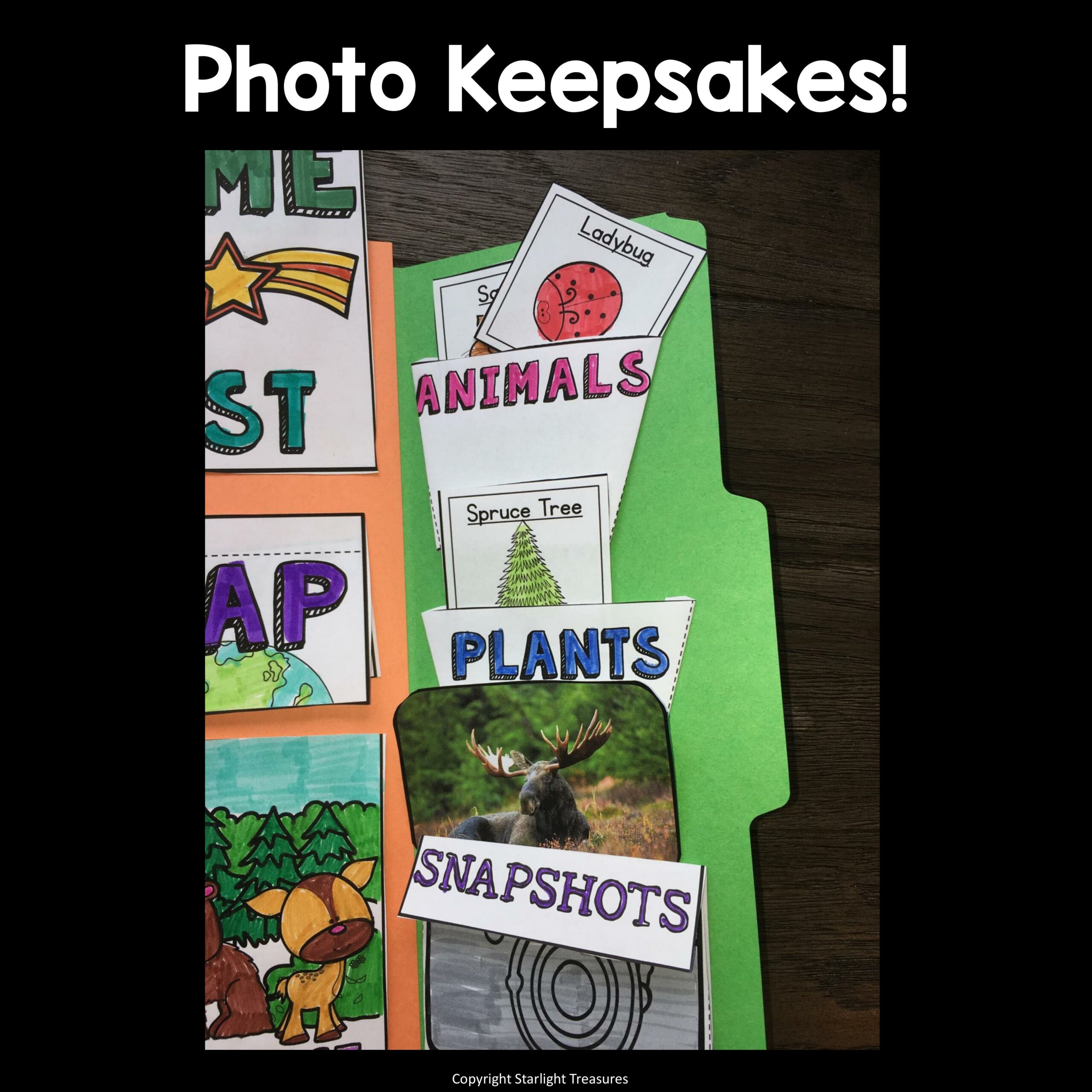 Forest Lapbook for Early Learners Animal Habitats Made By Teachers