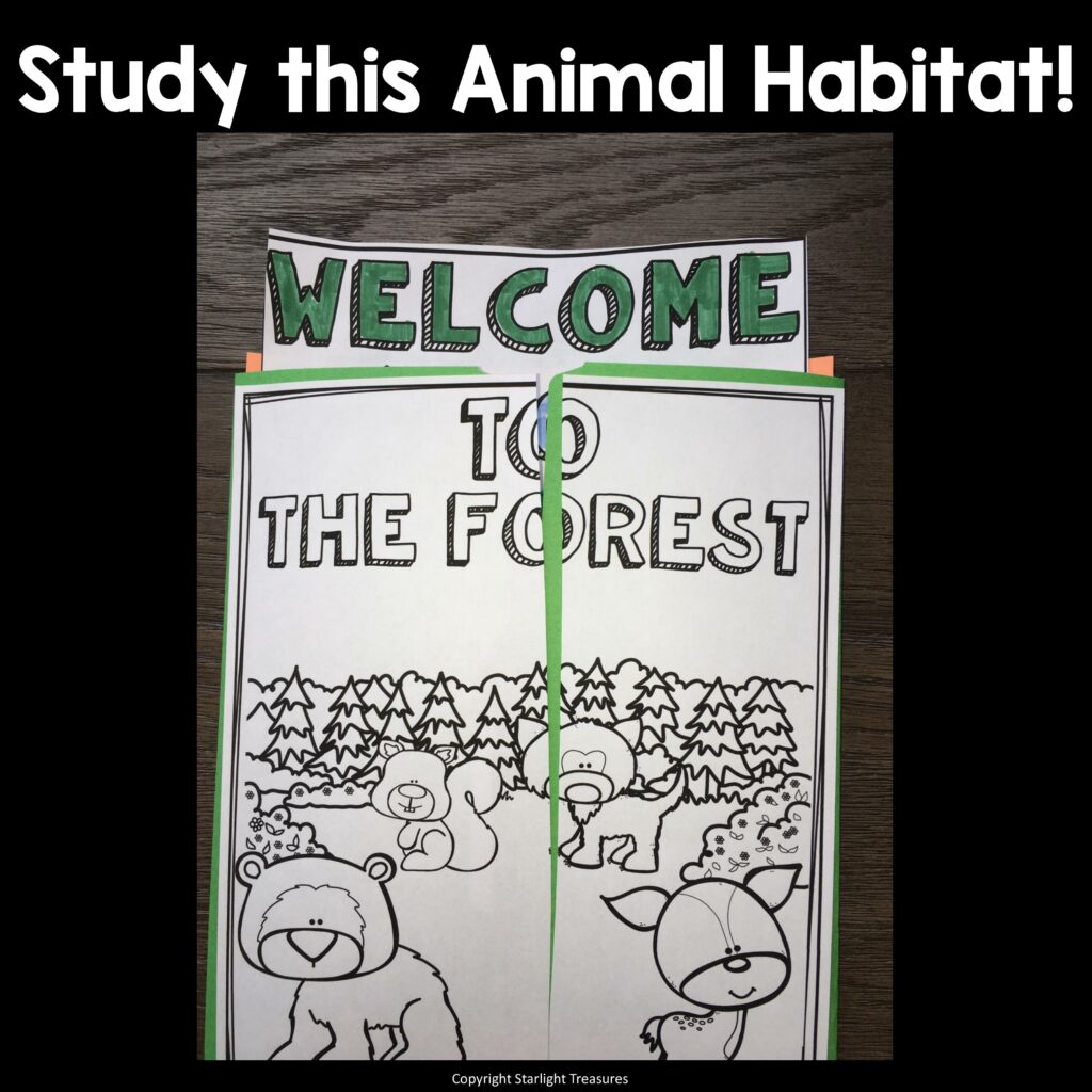 Forest Lapbook for Early Learners Animal Habitats Made By Teachers