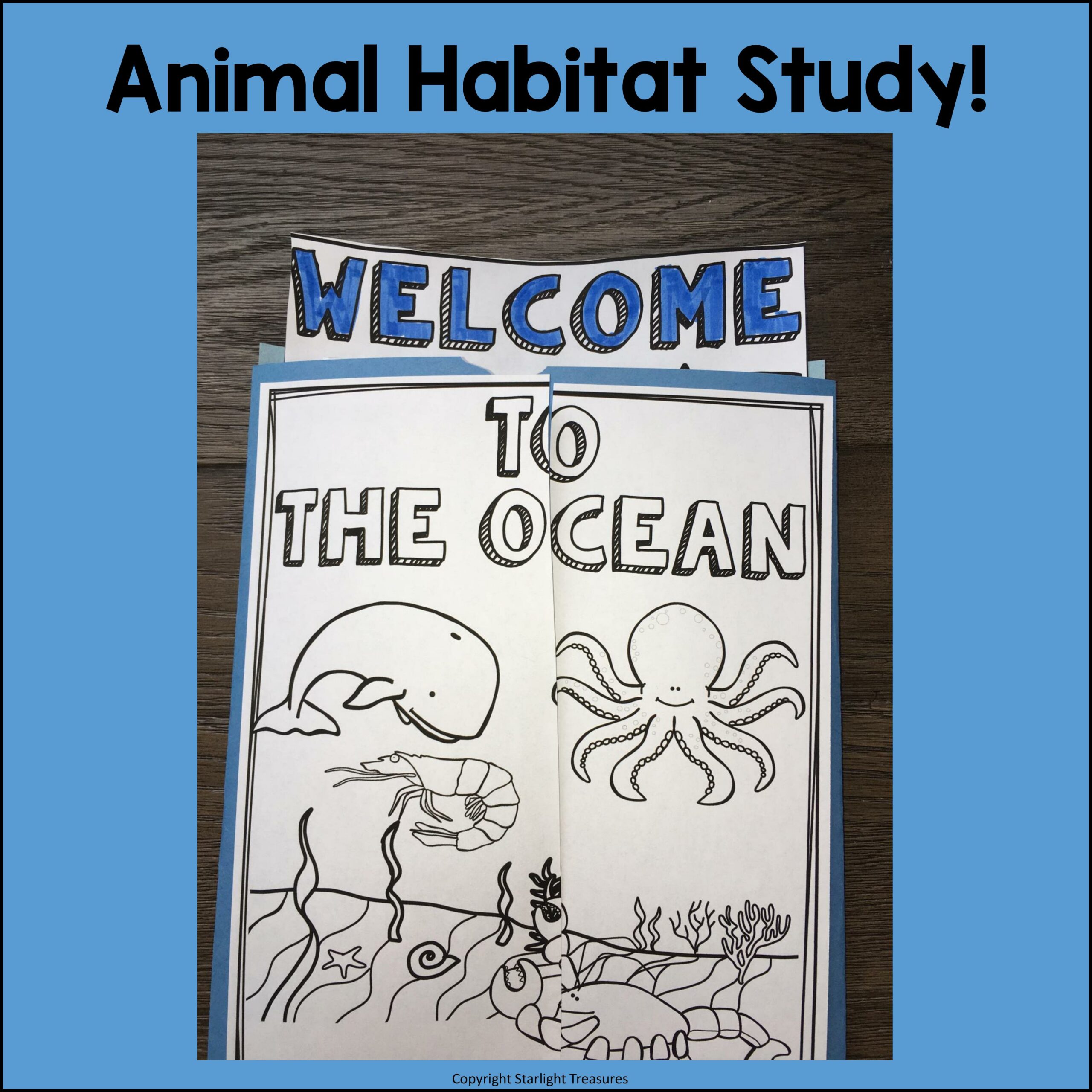 Ocean Lapbook for Early Learners Animal Habitats Made By Teachers