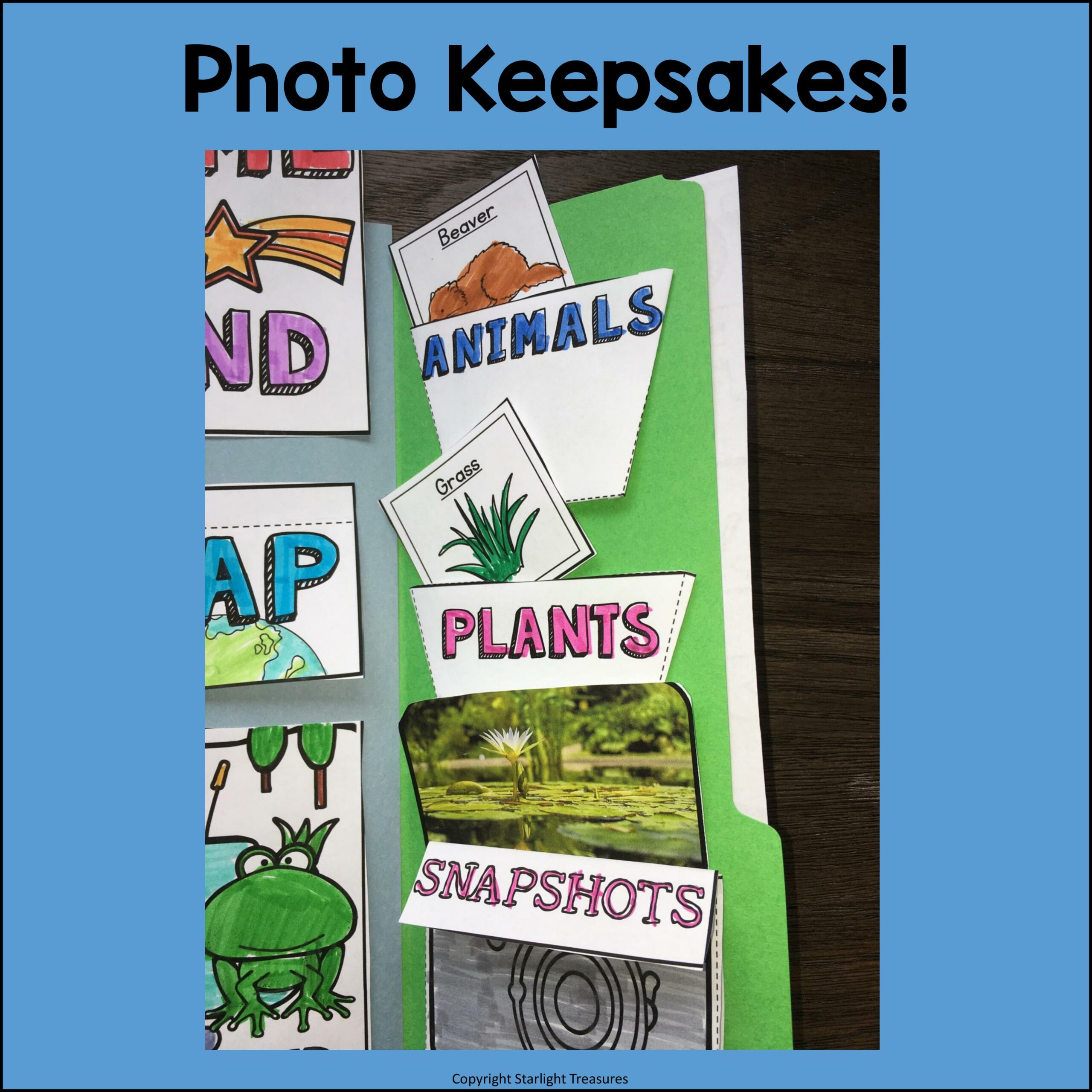 Pond Lapbook for Early Learners Animal Habitats Made By Teachers