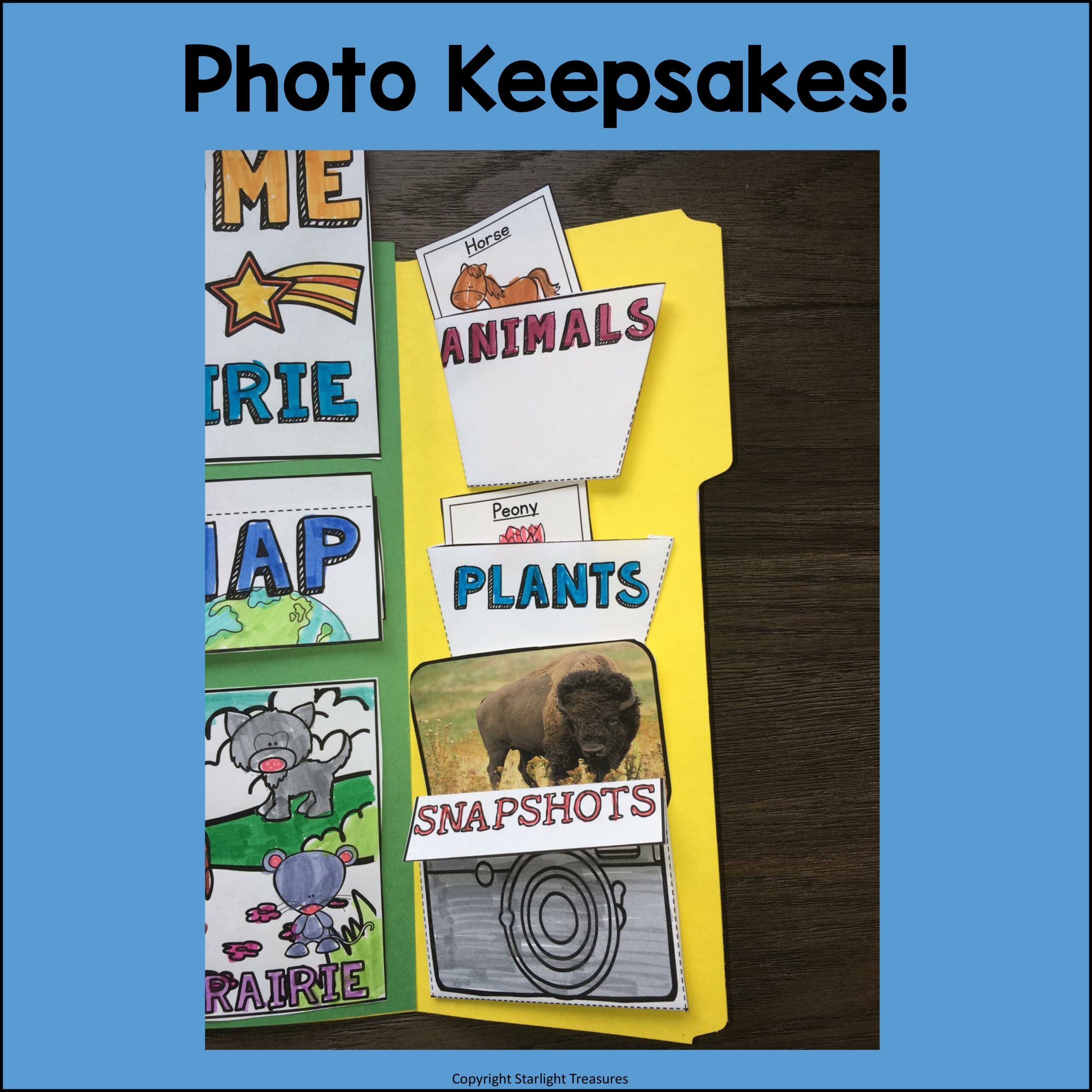 Prairie Lapbook for Early Learners Animal Habitats Made By Teachers