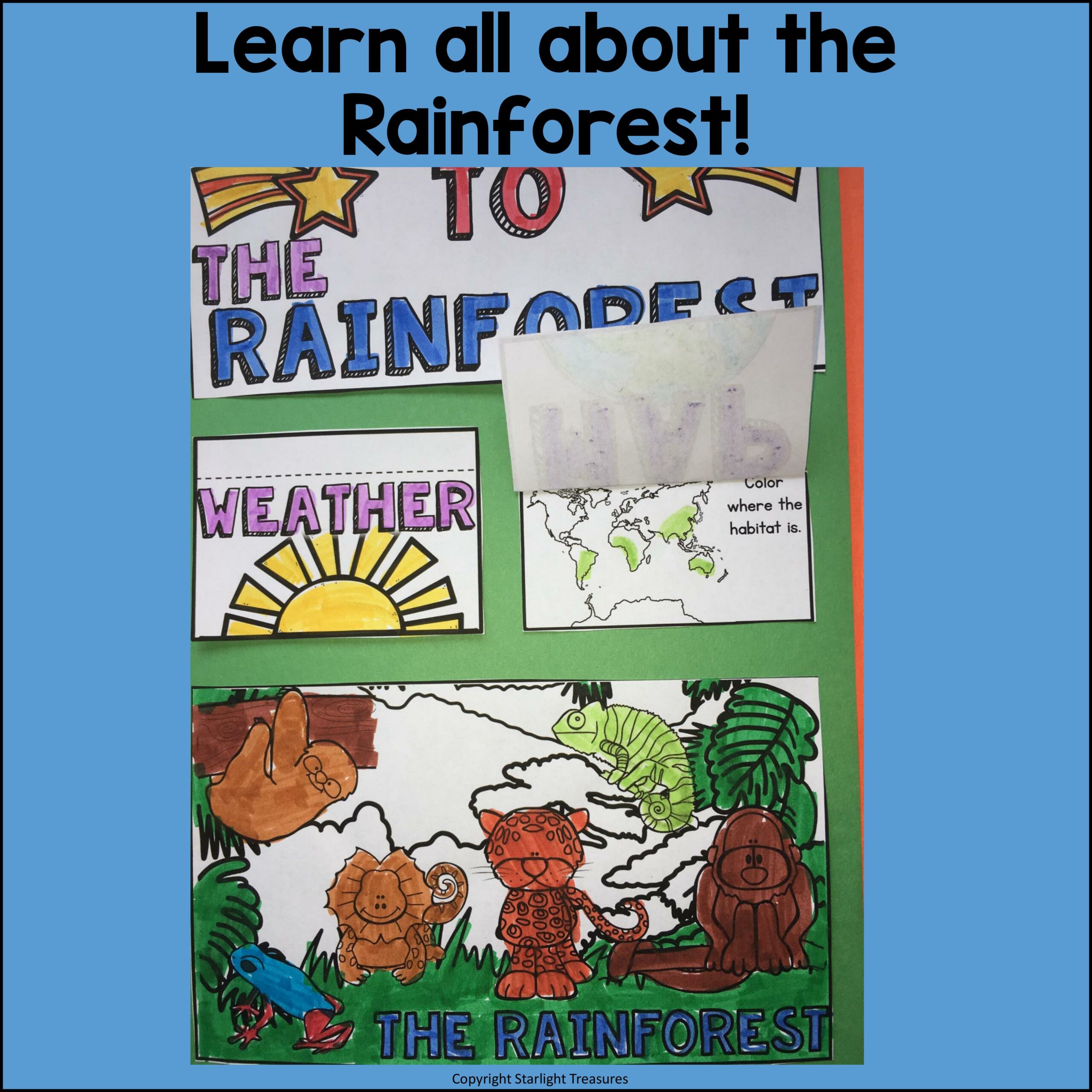 Rainforest Lapbook for Early Learners Animal Habitats Made By Teachers