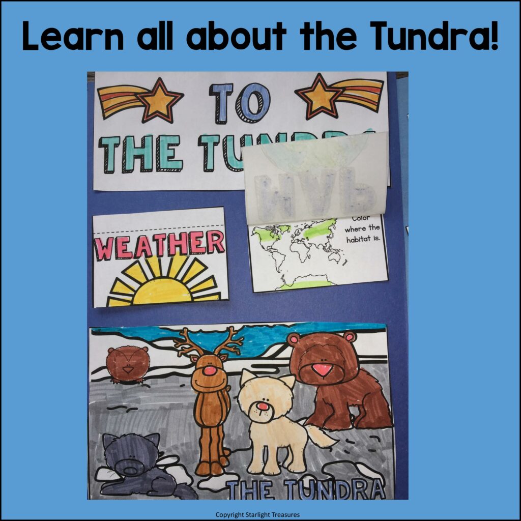 Tundra Lapbook for Early Learners Animal Habitats Made By Teachers