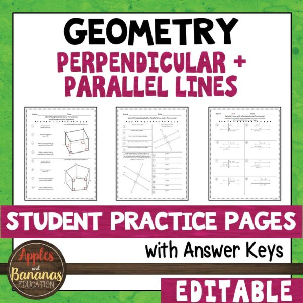 Perpendicular and Parallel Lines - Editable Student Practice Pages ...
