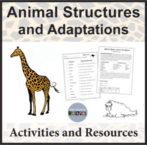 Animal Structures Adaptations Activities and Resources 4th Grade NGSS
