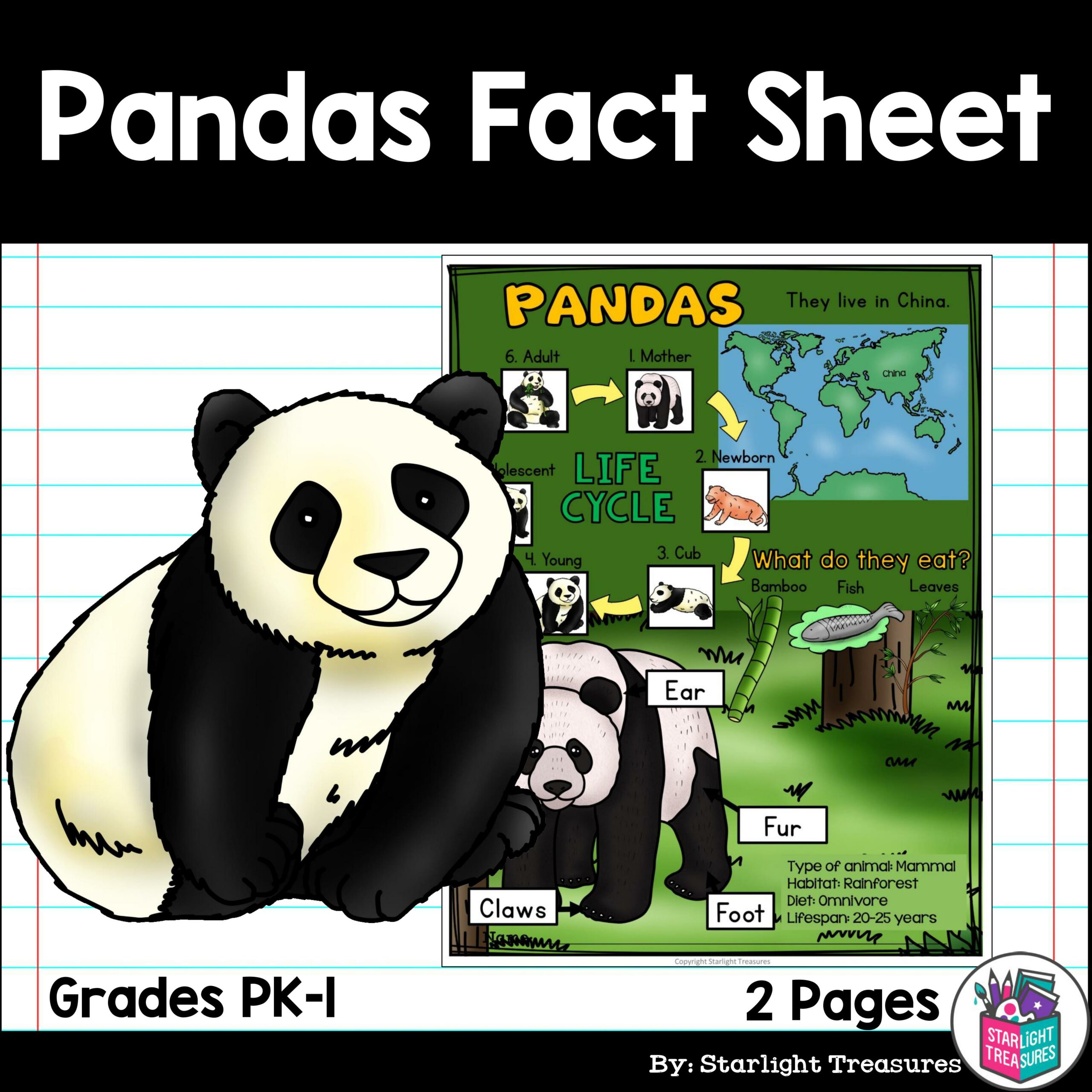 Pandas Fact Sheet for Early Readers Panda Bears Animal Study Made