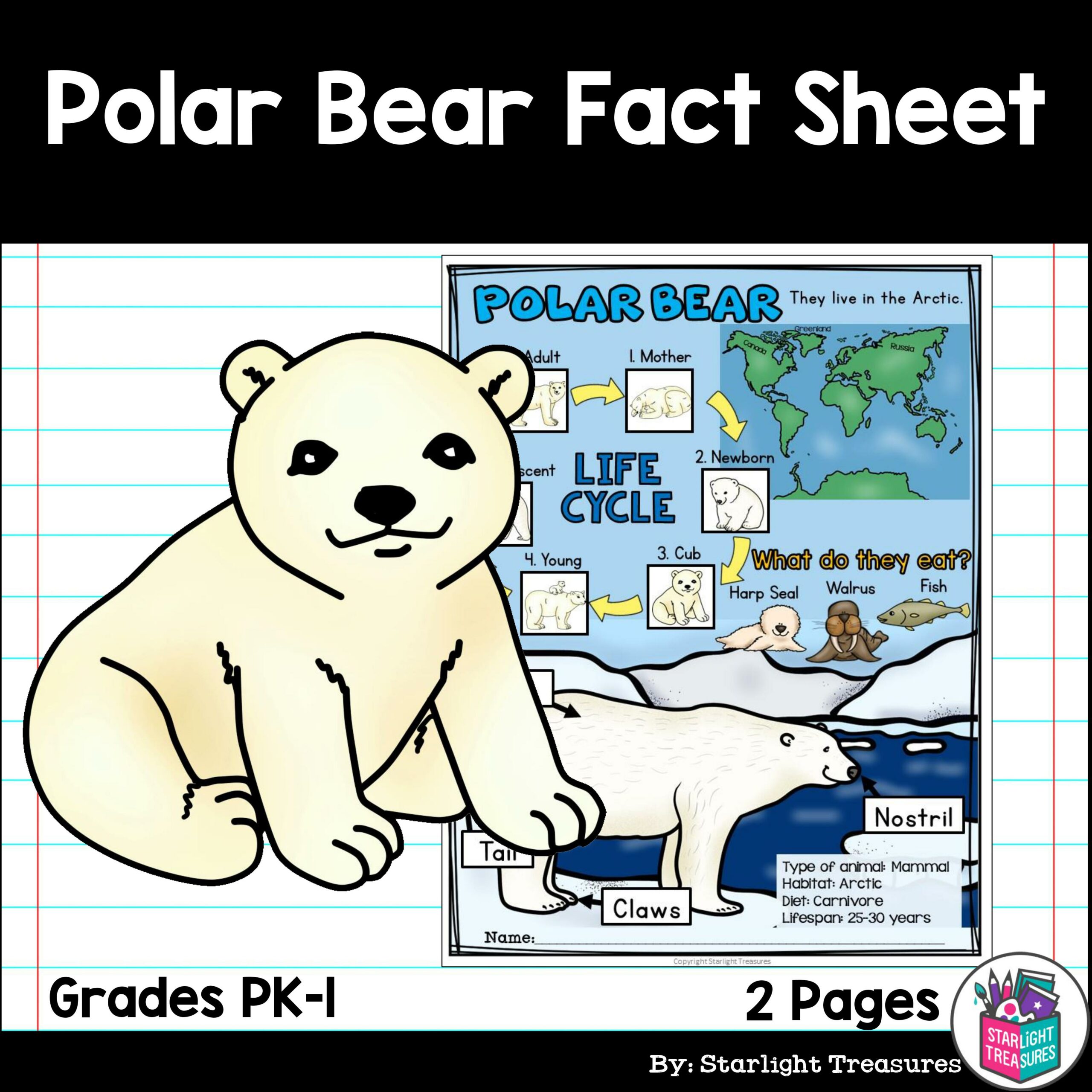 Polar Bear Fact Sheet for Early Readers - Animal Study
