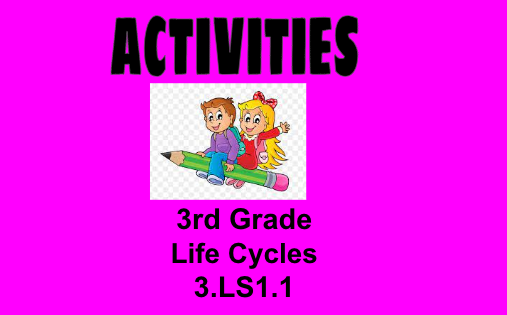 Life Cycle For 3rd Grade Printables