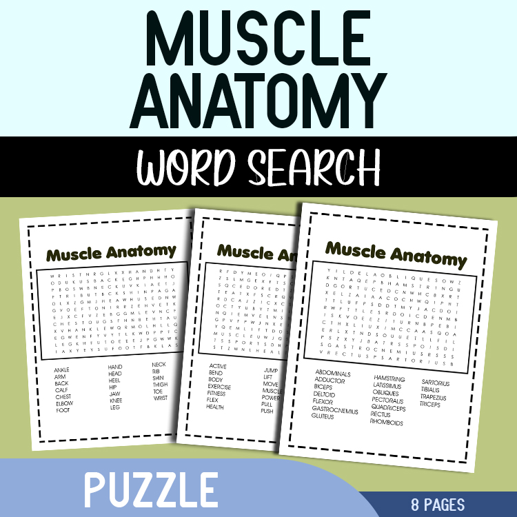 Muscle Anatomy Word Search Puzzle Made By Teachers