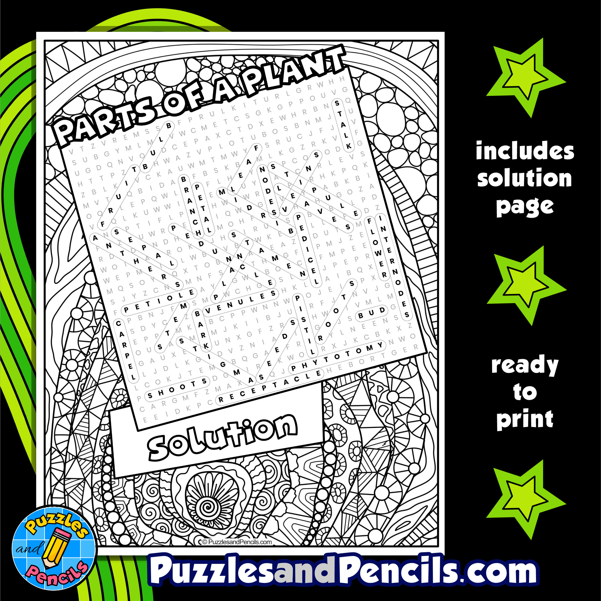 Parts of a Plant Word Search Puzzle with Coloring Plant Biology