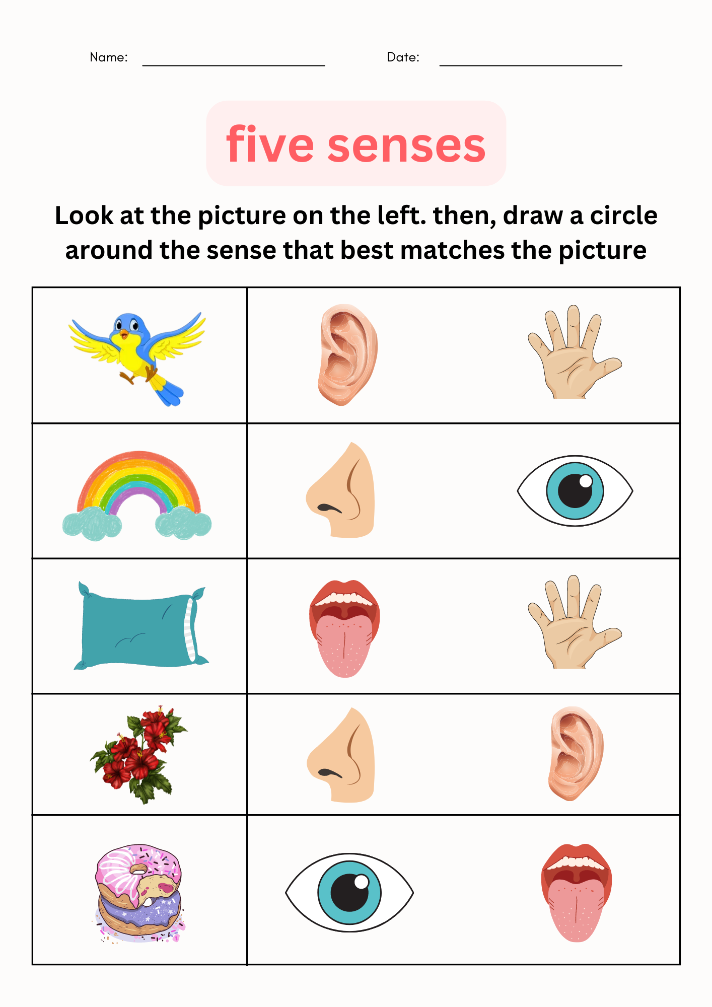 Observing Using The Five Senses Worksheets Science For Kindergarten