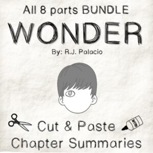 WONDER Chapter Summaries